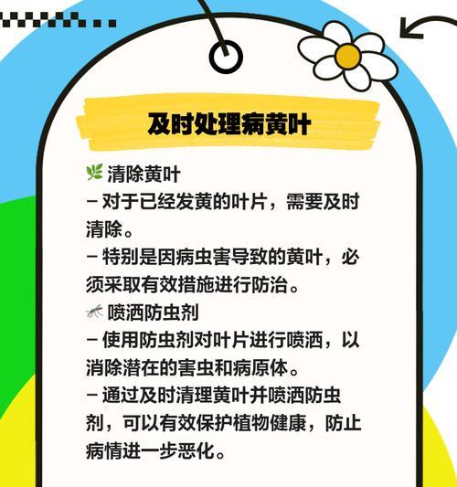 叶子代谢发黄怎么办？有哪些解决方法？