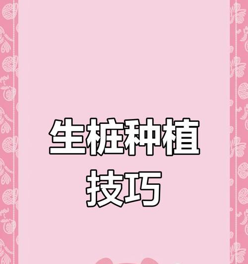 三角梅生桩枝条养护要点是什么？