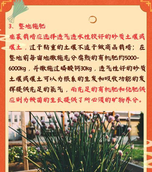 整地播种前需要准备哪些事项？