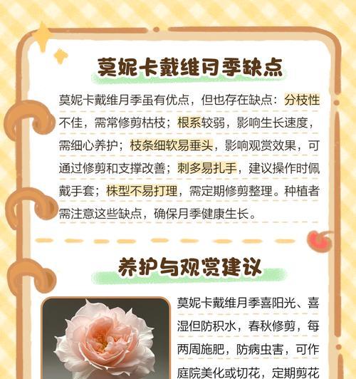 月季缺蛋怎么处理干净？有哪些有效方法？