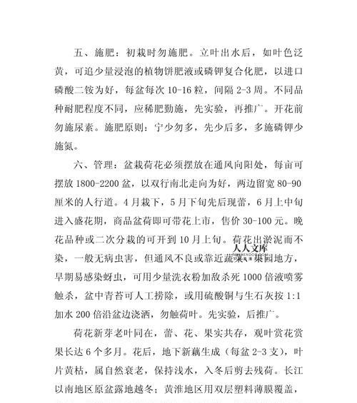观赏荷花叶子发黄的解决方法是什么？