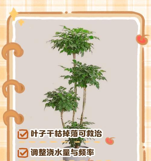叶子发黄干枯怎么救活呢？如何处理植物叶子发黄干枯的问题？