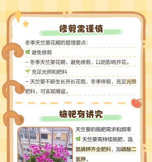 如何让天竺葵长得更高？