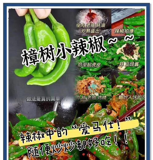 樟树辣椒叶子发黄的解决方法有哪些？