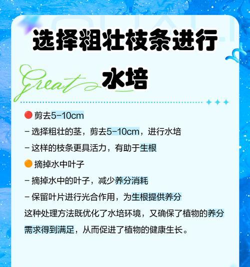 如何自制水培薄荷肥料呢？有哪些步骤？