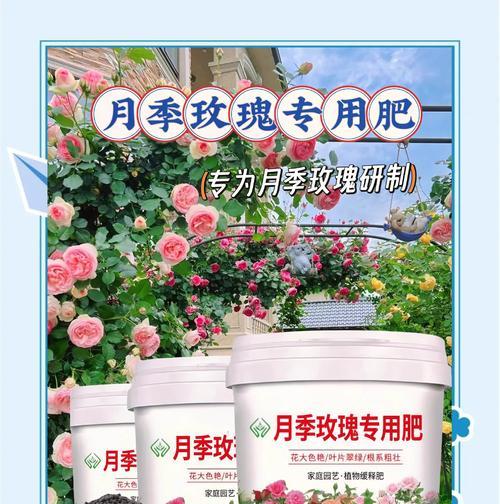 月季花需要氮肥吗？如何正确使用？