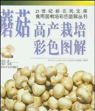 磨菇高产栽培技术要求有哪些？如何确保高产？