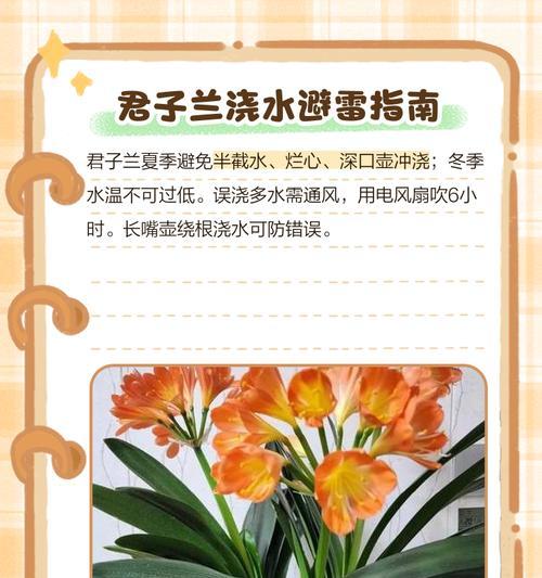 君子兰浇水盒的正确使用方法是什么？
