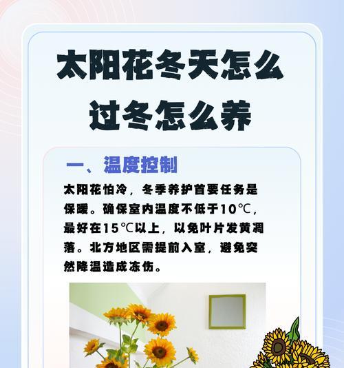 哪些花卉能在北方阳台过冬？