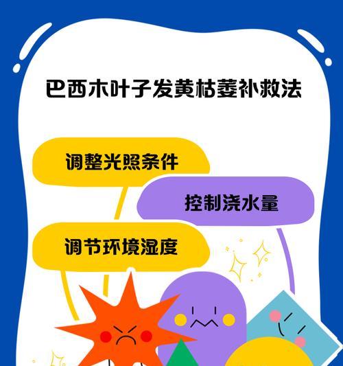 木槿花叶子蔫发黄怎么办？如何快速恢复？