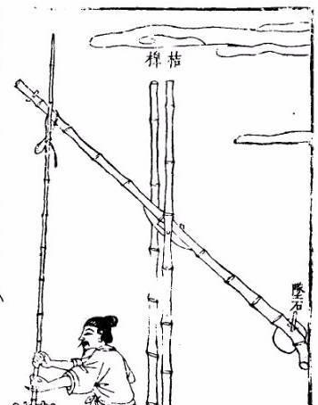 半亩播种的正确读音是什么？
