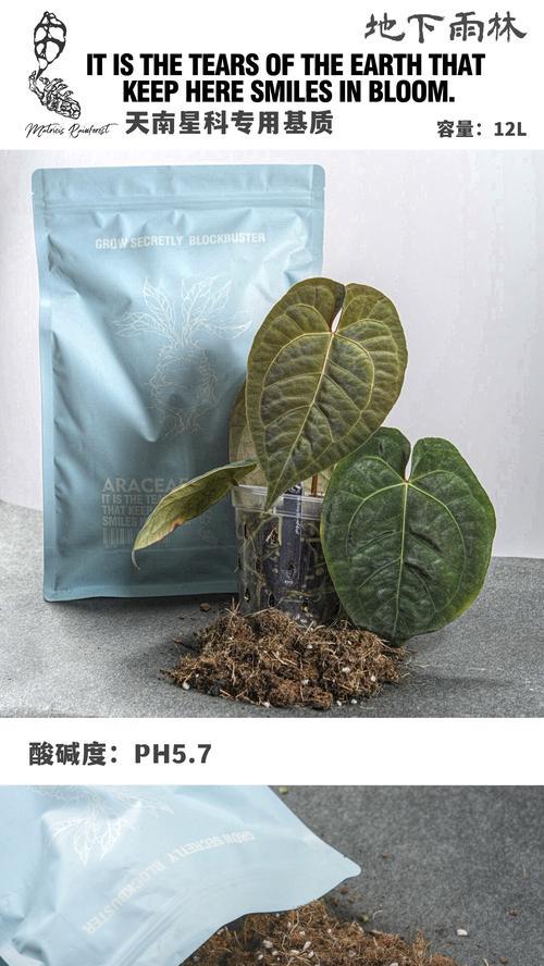 阴雨天气自制营养土肥料的方法是什么？