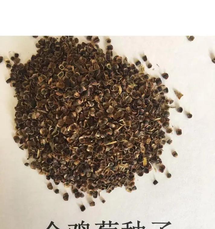 播种草籽时常用的术语有哪些？