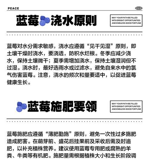 蓝莓栽培的关键技术要点有哪些？