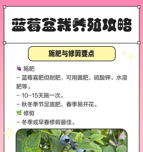 蓝莓栽培的关键技术要点有哪些？
