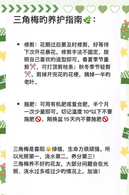 室内三角梅的养护方法有哪些？