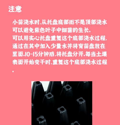 紫苏营养土如何自制肥料？有哪些步骤和技巧？
