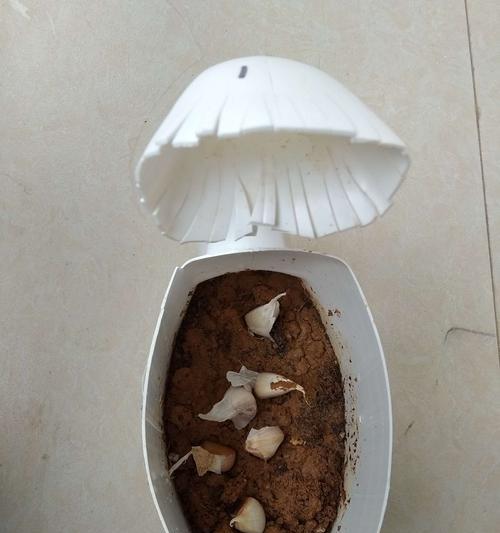 播种质量的三要素有哪些？