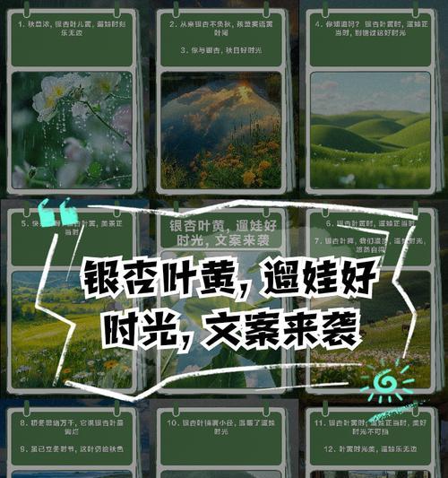 5月银杏叶子发黄的解决方法是什么？