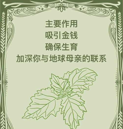 广藿香栽培技术要点是什么？