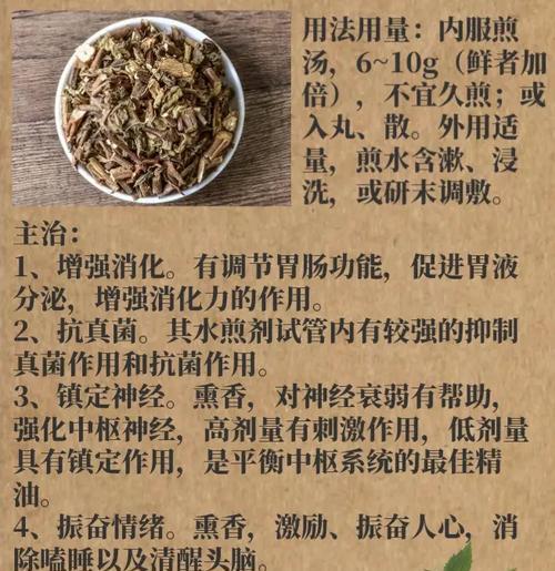 广藿香栽培技术要点是什么？