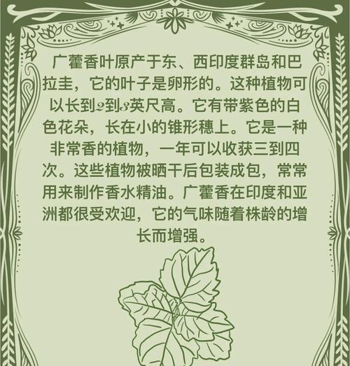 广藿香栽培技术要点是什么？