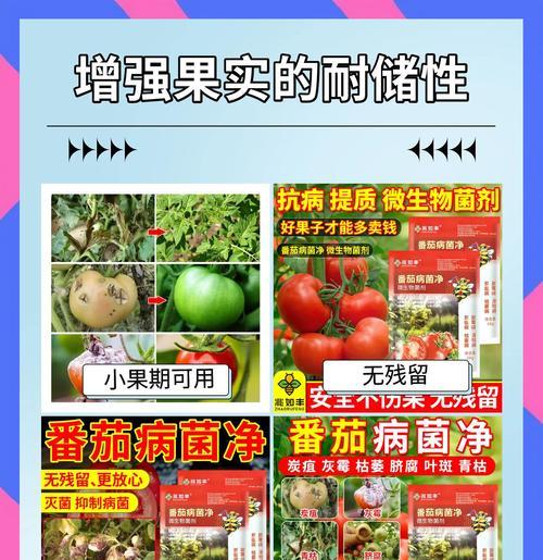 番茄宝贝叶子发黄的解决方法是什么？