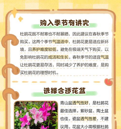 落叶杜鹃冬季浇水技巧？如何安全过冬