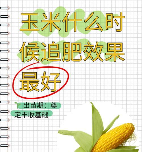 玉米栽培技术播前需要准备什么？步骤和要点是什么？