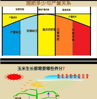 玉米栽培技术播前需要准备什么？步骤和要点是什么？