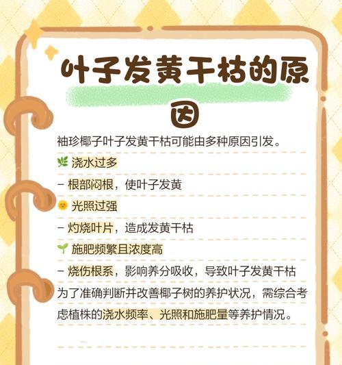 叶子干枯发黄怎么办？