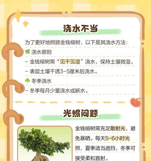 叶子抽枝发黄的原因是什么？如何处理？