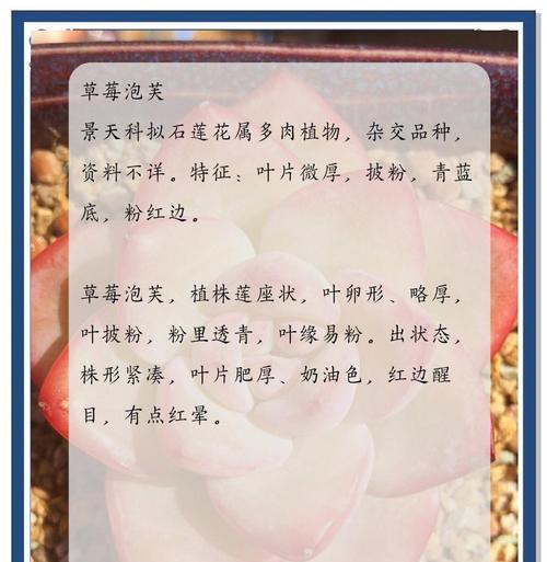 草莓是木本植物吗？如何判断植物的类别？