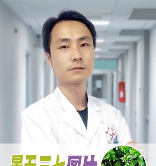 三七草叶子发黄的原因及解决措施是什么？