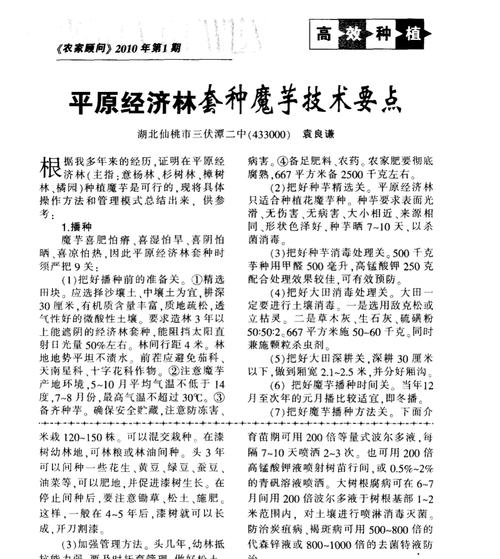 魔芋冬种栽培技术要点是什么？