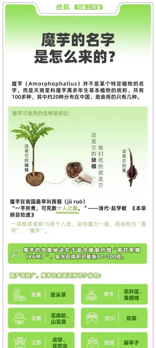 魔芋冬种栽培技术要点是什么？