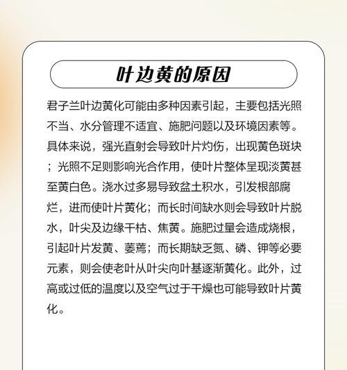 君子兰叶子频繁发黄的解决办法是什么？