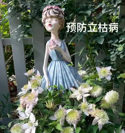 铁线莲根部完全腐烂的原因是什么？如何进行救治？