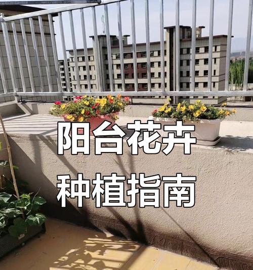 阳台种植哪些花卉最合适？阳台种花有哪些注意事项？