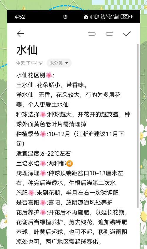 水仙花语有什么特别含义？代表了哪些情感？