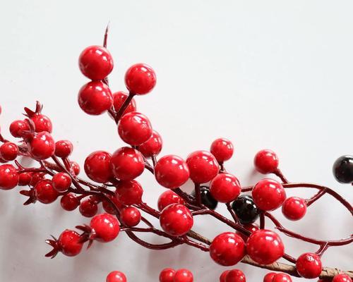 发财花的含义是什么？