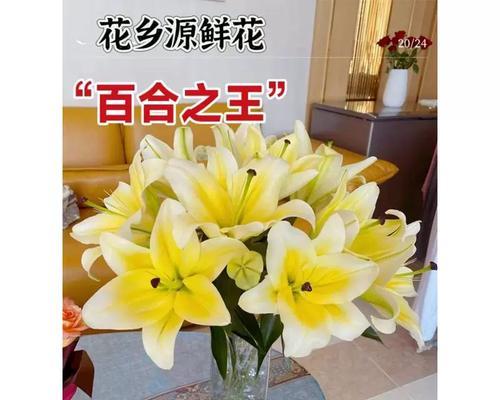 云南爱情象征的花有哪些？