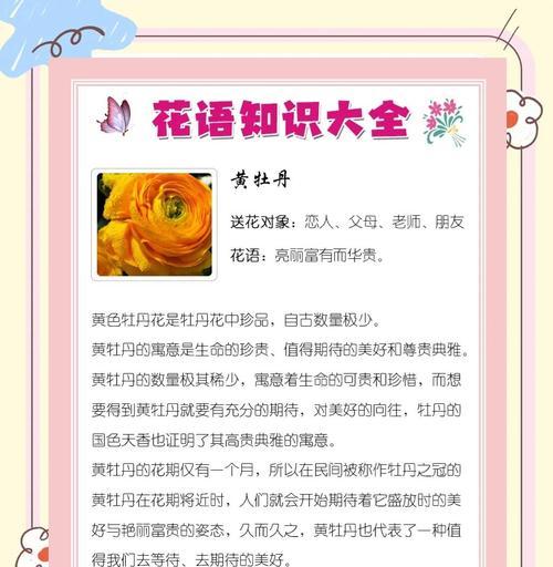 牡丹菊花语具体含义是什么？