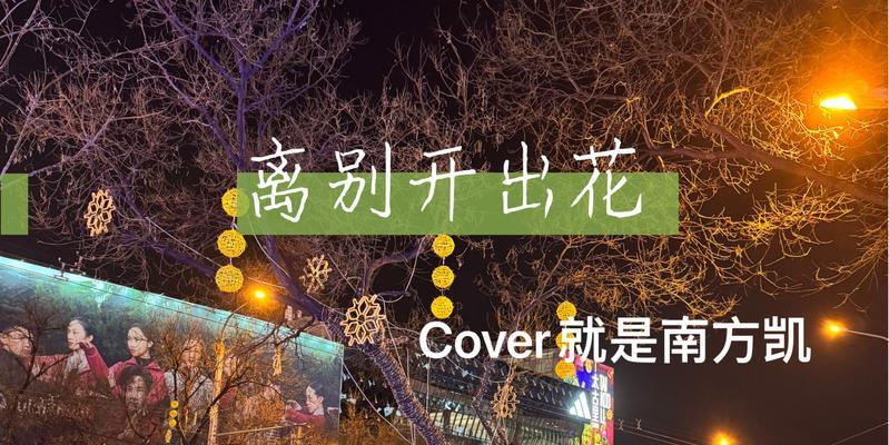 离别时开的花代表什么含义？哪些花象征着离别？