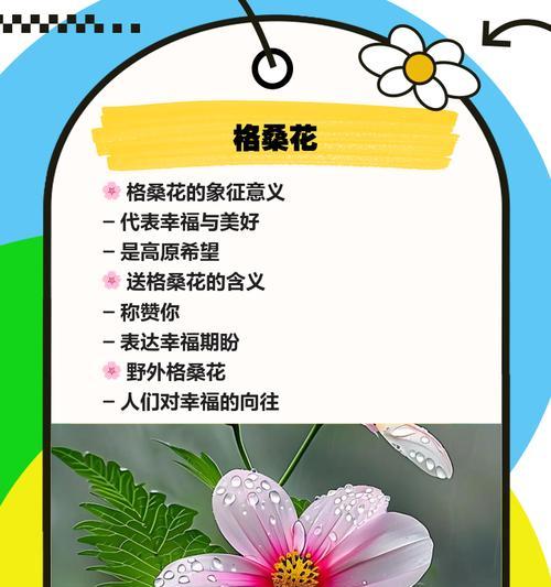 象征谋略的花卉有哪些？它们各自代表什么含义？