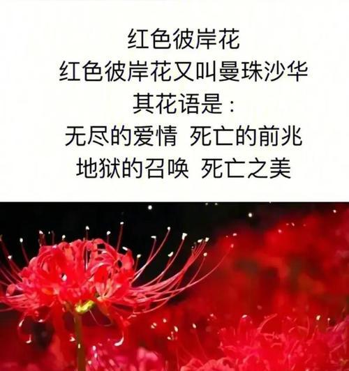 成熟的花寓意和象征是什么？花的成熟期特别含义有哪些？