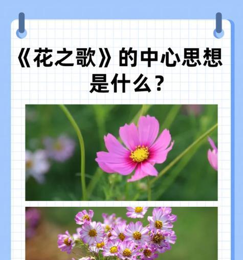 成熟的花寓意和象征是什么？花的成熟期特别含义有哪些？