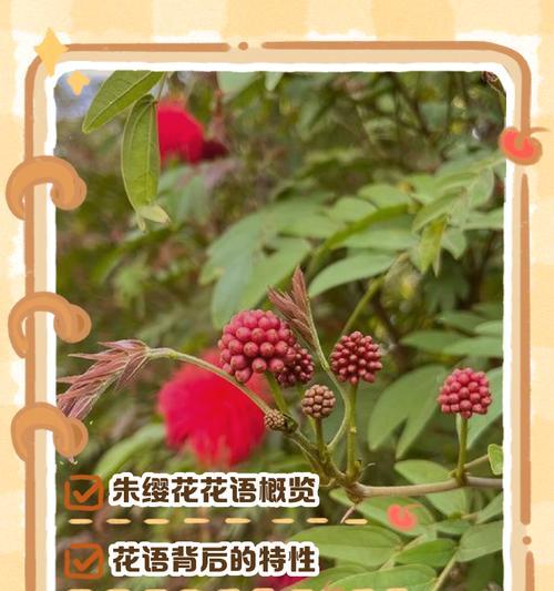 哪种花最可爱？花卉中有哪些可爱的花语？