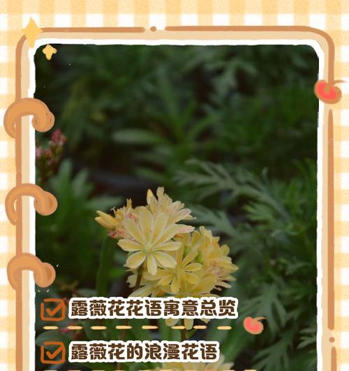 哪种花最可爱？花卉中有哪些可爱的花语？