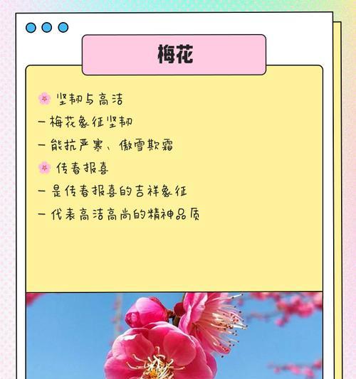 不同花的寓意是什么含义？如何探索花卉的独特象征？